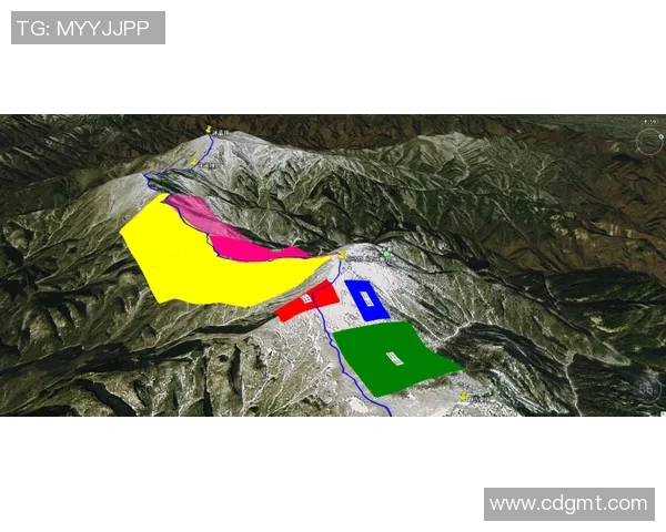 上海羽毛球队包夹战术革新探讨与实践分析 上海羽毛球队包夹战术革新探讨与实践分析