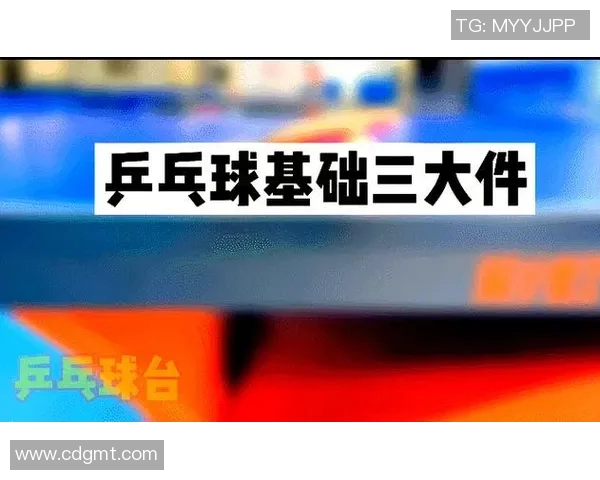 乒乓球新手必看:从意识到技巧的全面入门指南 乒乓球新手必看:从意识到技巧的全面入门指南