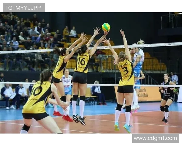 武汉排球队技术表现深度分析与数据解读探讨 武汉排球队技术表现深度分析与数据解读探讨