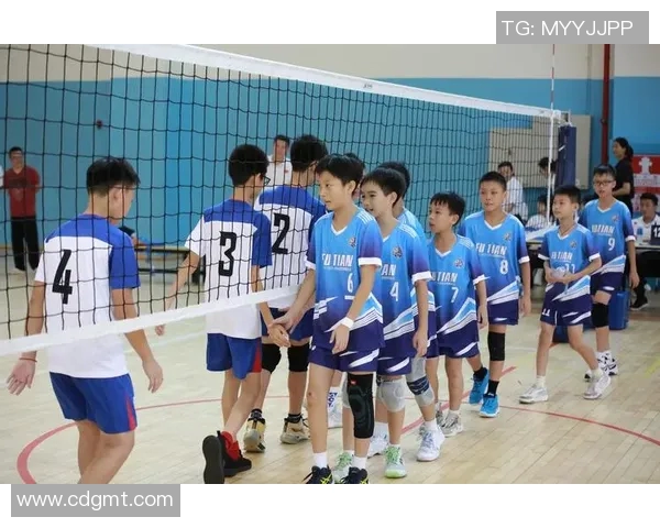 深圳排球队技术实力分析与比赛表现全面点评