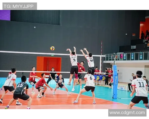 成都排球队的节奏变革引发热议探索新战术与团队协作的未来发展