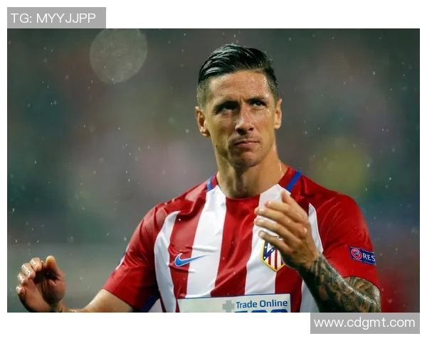 托雷斯传奇之路：从小球场到世界巅峰的足球人生纪录片