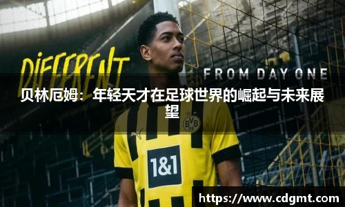皇冠体育官方网站