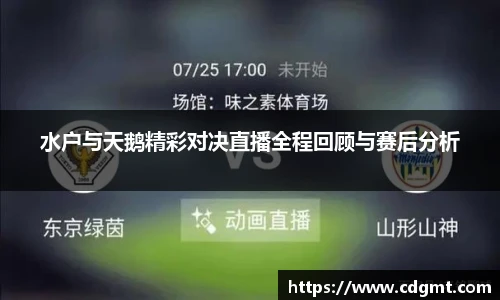 水户与天鹅精彩对决直播全程回顾与赛后分析